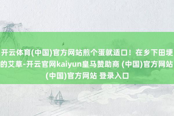 开云体育(中国)官方网站煎个蛋就适口！在乡下田埂遍地可见的艾