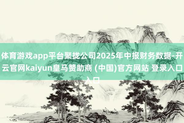 体育游戏app平台聚拢公司2025年中报财务数据-开云官网kaiyun皇马赞助商 (中国)官方网站 登录入口