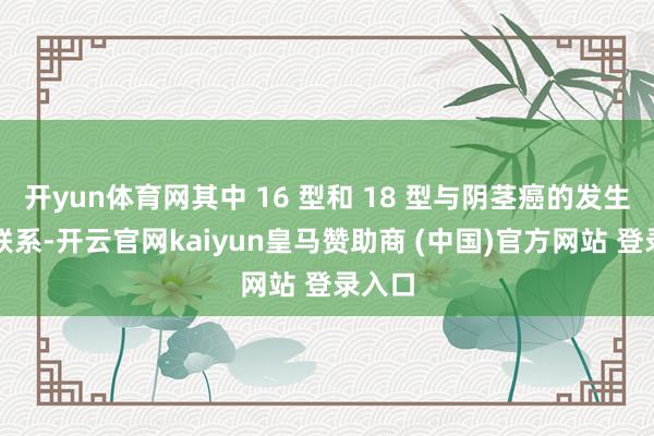开yun体育网其中 16 型和 18 型与阴茎癌的发生高度联