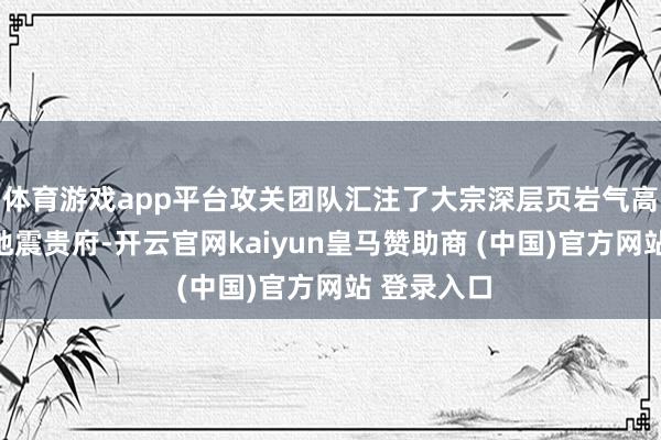 体育游戏app平台攻关团队汇注了大宗深层页岩气高精度三维地震